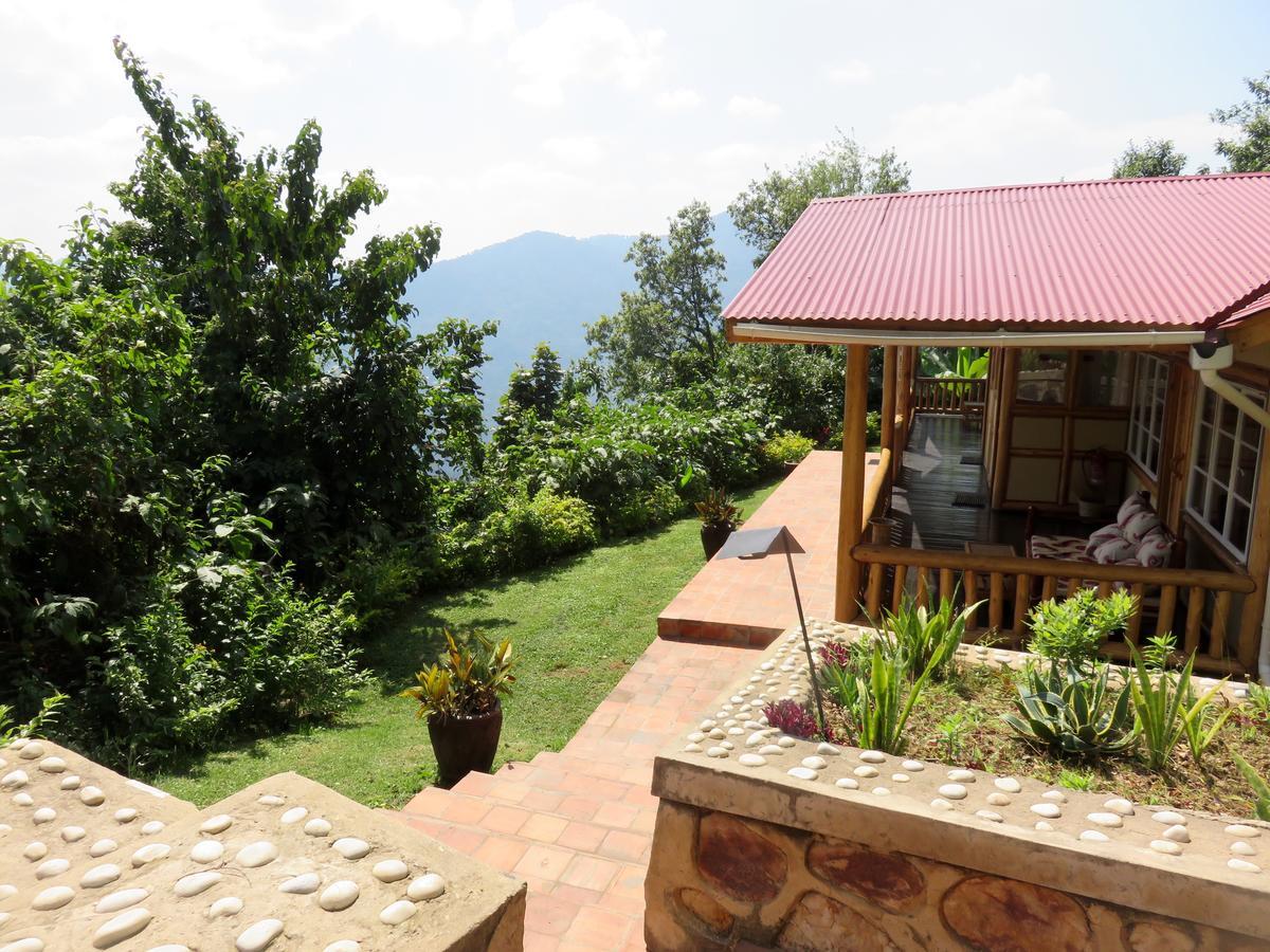 Nkuringo Bwindi Gorilla Lodge Экстерьер фото