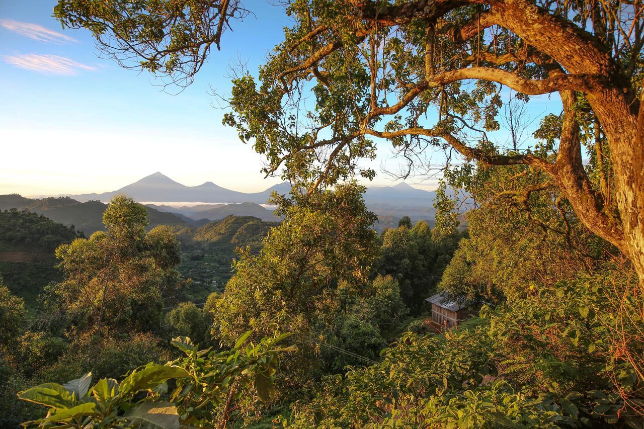 Nkuringo Bwindi Gorilla Lodge Экстерьер фото
