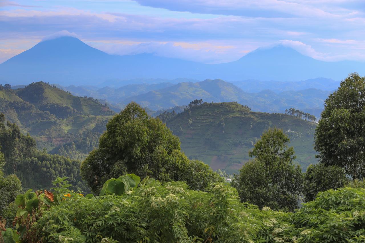 Nkuringo Bwindi Gorilla Lodge Экстерьер фото